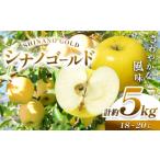 ふるさと納税 りんご 長野県 塩尻市 2025年 先行予約 シナノゴールド 約5kg (18〜20玉) | 果物 くだもの フルーツ 林檎 りんご リンゴ シナノゴールド 長野…