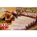 肉 ハム お肉と塩だけ 無添加BIOベーコン特大サイズ