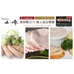 惣菜 レトルト 冷凍 3ヶ月連続お届け 長谷川自然牧場産豚肉…