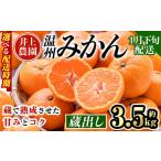 ふるさと納税 果物類 みかん 大分県 宇佐市  1月下旬より順次発送予定 大分県宇佐市産 蔵出し みかん(約3.5kg)ミカン 蜜柑 柑橘 フルーツ 果物 くだもの 果実 …