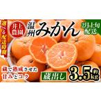 ふるさと納税 果物類 みかん 大分県 宇佐市  2月上旬より順次発送予定 大分県宇佐市産 蔵出し みかん(約3.5kg)ミカン 蜜柑 柑橘 フルーツ 果物 くだもの 果実 …