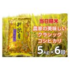 米 コシヒカリ 6か月定期便 令和7年産 産コシヒカリ