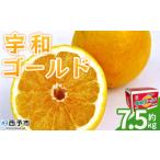 ふるさと納税 果物類 