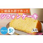 fu.... налог кекс * кастелла chiffon cake префектура Aichi город Komaki kun .. chiffon cake ( простой ) 5 штук 