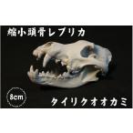 インテリア 縮小 頭骨 レプリカ タイリクオオカミ