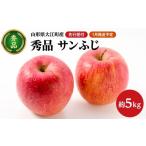ふるさと納税 りんご 山形県 大江町 《先行受付》 2027年1月発送予定 サンふじ約5kg・秀品 大江町産・山形りんご・大地農産 028-026