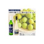 ふるさと納税 ワイン 京都府 城陽市 京都青谷梅わいん飲み比べセット 1538836