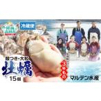ふるさと納税 牡蠣 生牡蠣 岩手県 陸前高田市 1月後半発送 殻付き牡蠣15個(生食用) 予約受付 期間限定 天然 牡蠣 かき 殻付き 生食 大粒 人気 国産 真牡蠣 …