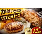 ハンバーグ 佐賀牛入りハンバーグ 12個
