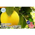 ふるさと納税 みかん・柑橘類 高知県 土佐市 先行予約 楠瀬さんの土佐文旦 家庭用大玉 約5kg 約5キロ 4L〜2L ぶんたん ブンタン フルーツ 柑橘 みかん 果物 …