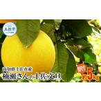 ふるさと納税 みかん・柑橘類 高知県 土佐市 先行予約 楠瀬さんの土佐文旦 訳あり 約5kg 約5キロ 4L〜L ぶんたん ブンタン フルーツ 柑橘 みかん 果物 くだも…