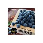 豆類 新物 令和7年産 令和7年 川北黒大豆