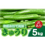 野菜類 きゅうり 訳あり 5kg