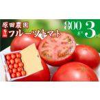 野菜類 トマト 2026年12月下旬頃 3回定期便