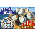 fu.... налог Sazae Kanagawa префектура Yokosuka город все 12 раз установленный срок рейс Sazae 1kg 6~10 шт три . половина остров ... барбекю BBQ. прямая поставка .. жарение свежий .. длина рыба моллюски морепродукты...