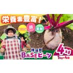 人参 大根 他根菜 横須賀BASEビーツ 4kg