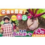 人参 大根 他根菜 全3回定期便 横須賀BASEビーツ 4kg