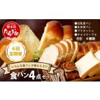 パン 食パン 定期便6回 4点セット 冷凍パン