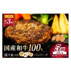 肉 ハンバーグ <定期便 隔月3回>塩で食べるやわらか…
