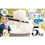 無洗米 新米 令和8年産 コシヒカリ 特A 5kg