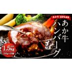 牛肉 ハンバーグ 令和8年度熊本地震復興支援