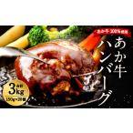 牛肉 ハンバーグ R8年熊本地震復興支援