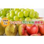 ぶどう マスカット 定期便3回 やまがた冬の果物