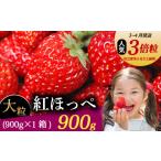 いちご 3月~ 紅ほっぺ 大粒 900g