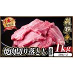 ふるさと納税 牛肉 焼肉・バーベキュー 岐阜県 羽島市 飛騨牛 焼肉切り落とし 約1kg(約500g×2)タレ付き 訳あり 冷蔵便 A4〜A5等級 黒毛和牛_飛騨牛 黒毛和牛 …