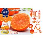 ふるさと納税 みかん・柑橘類 愛媛県 東温市 数量限定 紅まどんな 青秀3L〜L(10玉〜15玉) No.5303-0107