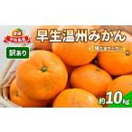 ふるさと納税 果物類 みかん 愛媛県 宇和島市 訳あり 愛媛 みかん 早生 温州 10kg 陽だまりミカン 先行予約 早生温州 早生みかん 温州みかん 果物 くだもの 愛…