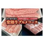 牛肉 サーロイン 常陸牛 肉の藤井商店 定期便