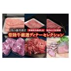 牛肉 サーロイン 常陸牛 肉の藤井商店 定期便