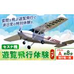 体験チケット セスナ機遊覧飛行体験 ペア