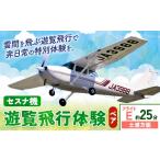 体験チケット セスナ機遊覧飛行体験 ペア