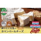 加工品等 チーズ カマンベールチーズ 120g