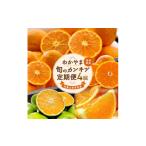 みかん 柑橘類 オレンジ 定期便 〈3 5 9 11月