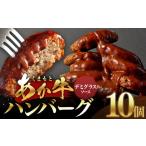 ふるさと納税 肉 ハンバーグ 熊本県 高森町 あか牛デミグラスハンバーグ 150g×10個 くまもとあか牛 ハンバーグ はんばーぐ 牛肉 牛 おかず 惣菜 冷凍