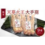 鶏肉 手羽 熊本 天草大王 大手羽 9本