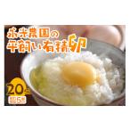 卵 鶏 烏骨鶏等 永光農園の平飼い有精卵 15個+割れ保証5個