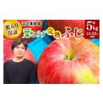 ふるさと納税 りんご 秋田県 横手市 11月下旬より発送 《蜜ライトで蜜入り保証 》葉とらず完熟ふじ 約5kg りんご
