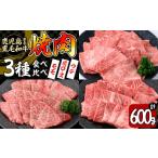 ふるさと納税 牛肉 焼肉・バーベキュー 鹿児島県 志布志市  焼肉3種 食べ比べセット 鹿児島県産黒毛和牛 モモ・肩ロース・ウデの焼肉3種セット 計600g 牛肉 肉…
