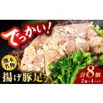豚肉 熊モン BIGな揚げ豚足 2個×4パック