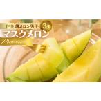 メロン メロン青肉 2027年 8月中お届け