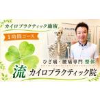 イベントやチケット等 カイロプラクティック施術1時間コース