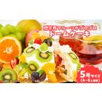 ケーキ カステラ フルーツshopこだわり