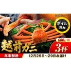 越前がに 600g×3杯