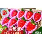 ふるさと納税 いちご 奈良県 五條市 奈良県高級ブランド“古都華”と“季節のいちご”2種盛り。 贈答用1ケース | フルーツ くだもの 果物 いちご イチゴ こと…