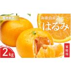 果物類 みかん 秀品 有田みかん 2kg