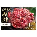 牛肉 訳あり 産和牛切り落とし 500g×2